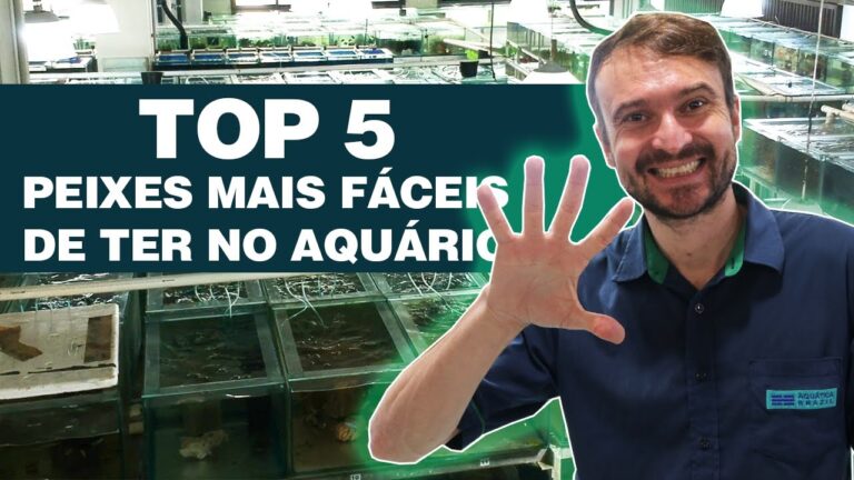 Peixes de água quente: guia completo para iniciantes
