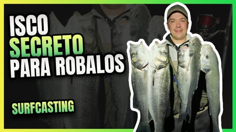 Robalo: Descubra o Melhor Isco para uma Pesca de Sucesso!