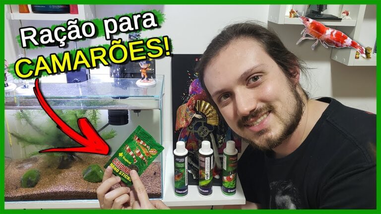 Aprimore a Dieta de Camar&otilde;es de &Aacute;gua Doce com Alimentos Especiais