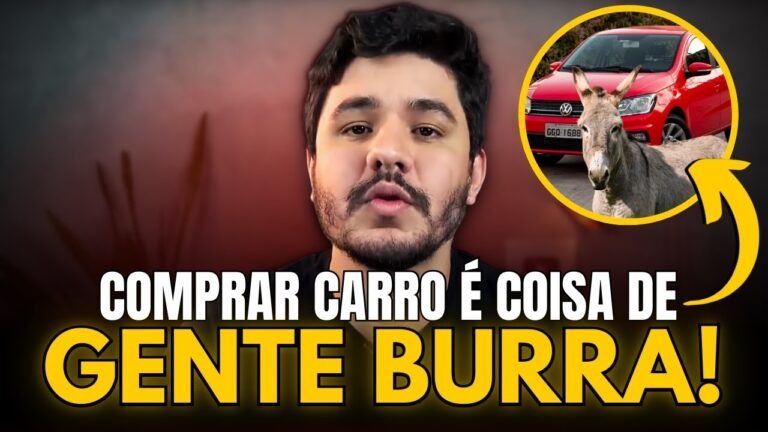 Rentabilidade econ&ocirc;mica: Aluguel de carros a dinheiro