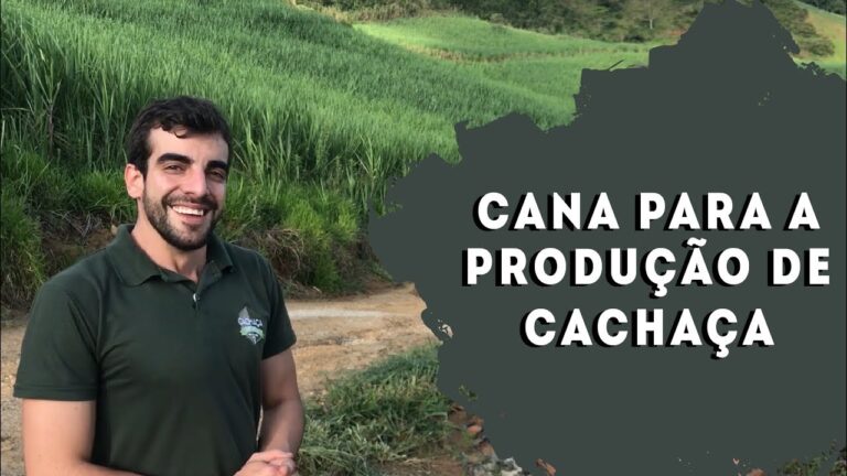 Segredos da Aguardente de Cana: Aprenda a Fazer em Casa!