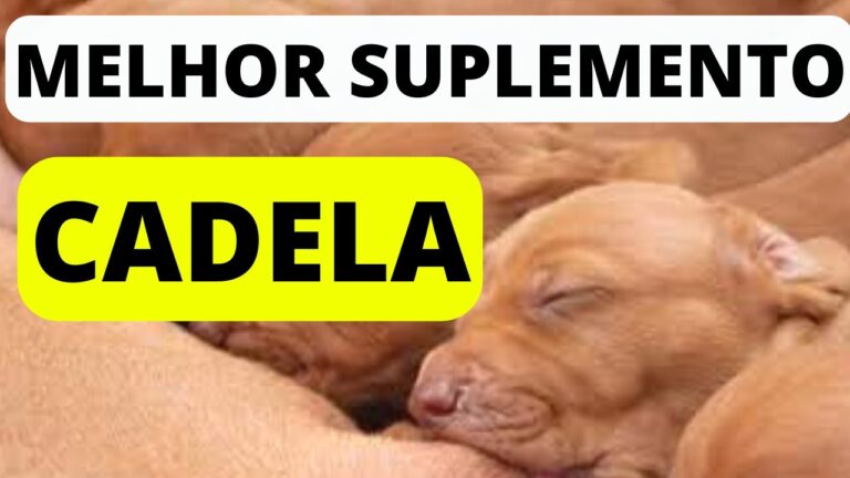 Benef&iacute;cios do c&aacute;lcio para cadelas amamentando: fortalecendo a sa&uacute;de materna