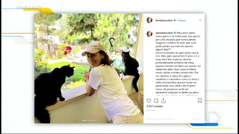 Mordida de gato: O que tomar para aliviar o desconforto