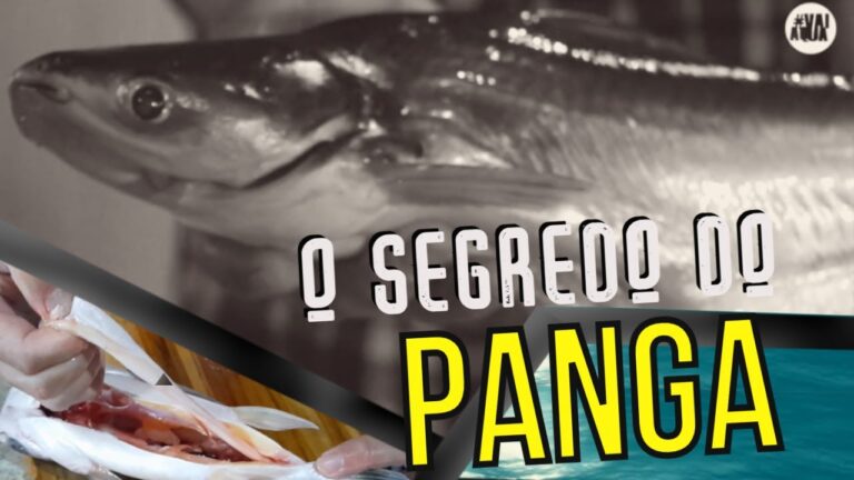 Peixe Panga: Descubra se Possui Escama ou Couro – Revelações Surpreendentes!