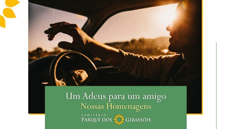Luto e supera&ccedil;&atilde;o: A mensagem que conforta quando perdemos um amigo