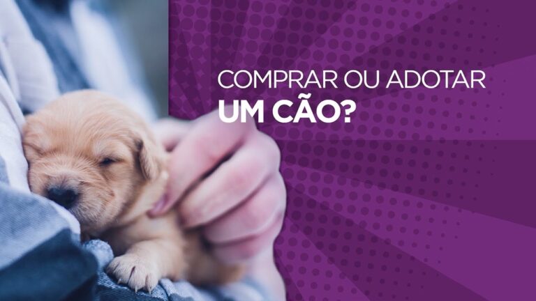 Adotar um Cachorro Filhote de Ra&ccedil;a: Guia Completo para Realizar seu Sonho!