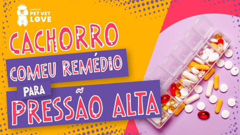 Desastre Canino: Meu cachorro comeu rem&eacute;dio – O que fazer em situa&ccedil;&otilde;es de emerg&ecirc;ncia?