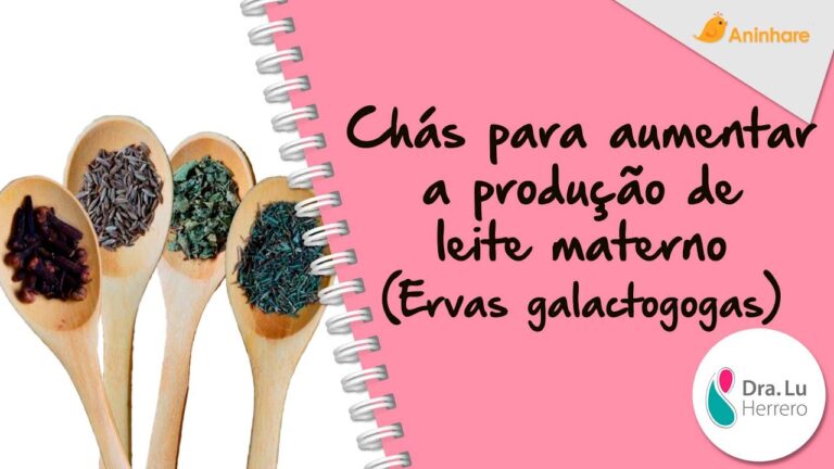 Chá milagroso: aumente a produção de leite materno! | Actualizado Maio 2026