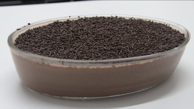 Del&iacute;cias em minutos: Receitas r&aacute;pidas com chocolate em p&oacute;