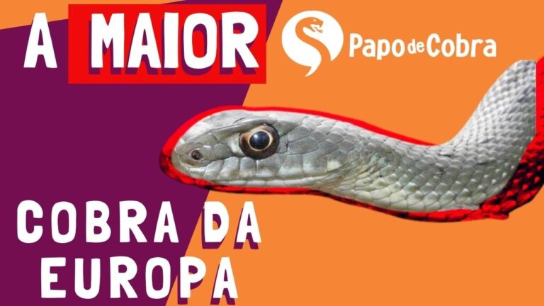 Cobra Rateira: Descubra a Venenosa que Assombra!