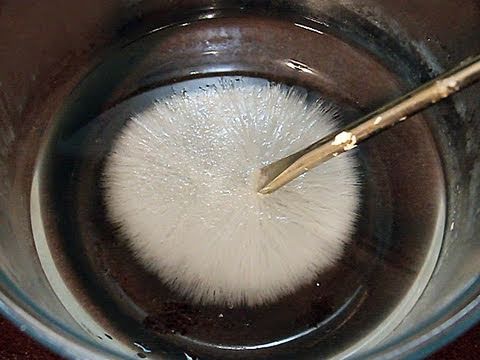 Congelamento Instantâneo de Água: Dicas para Congelar Rápido