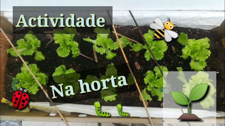 Plantar em abril: guia essencial para jardineiros em Portugal