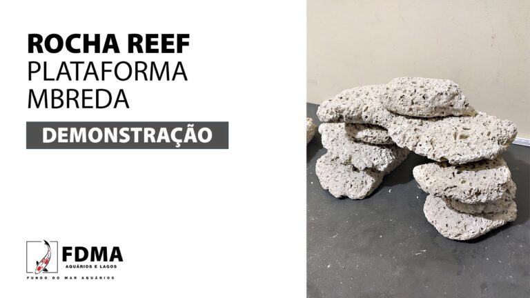 Aquário de Platis: Dicas para Criar um Ecossistema Vibrante