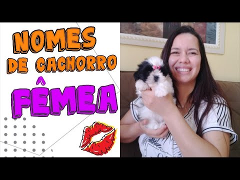 Nomes Surpreendentes para C&atilde;es: Descubra Op&ccedil;&otilde;es Originais em Portugu&ecirc;s!