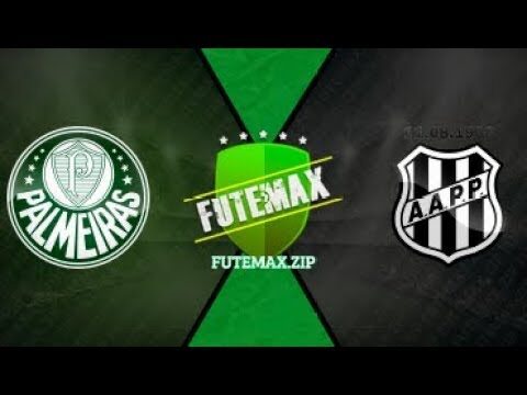 Palmeiras ao Vivo em Alta Defini&ccedil;&atilde;o