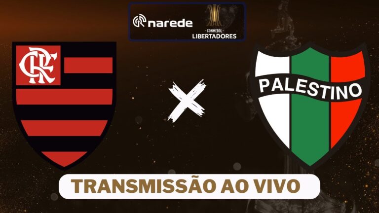Assistir Flamengo Ao Vivo em HD: Guia Completo