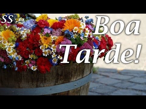 Boa Tarde: Mensagens com Flores para Whatsapp