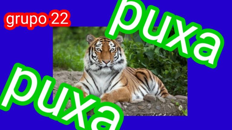Grupo do Tigre: Estratégias Vencedoras no Jogo do Bicho