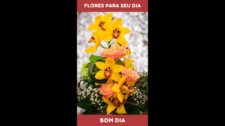 Buquê de Carinho: Mensagem de Bom Dia