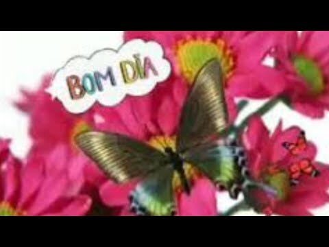10 Gifs para Desejar um Bom Dia com Carinho