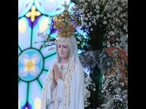 Folheto da Missa para Celular: Acesso Rápido no RJ