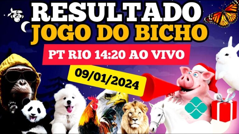 O Fenômeno do Jogo do Bicho em Feira de Santana