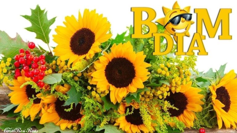 Terça-feira Feliz: Cumprimente o Dia com Flores