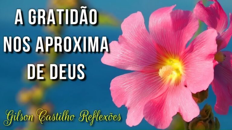 Mensagem Bíblica de Bom Dia para Quinta-feira